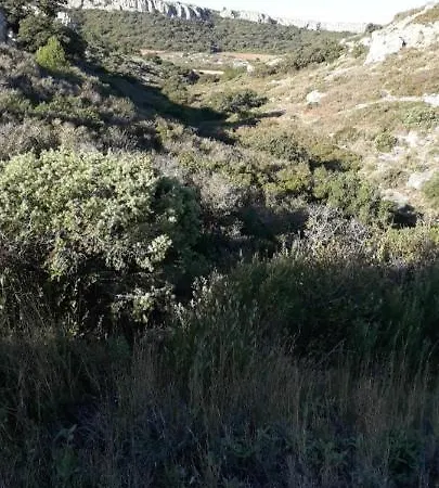 - Les Hauts D'azur Saint-Pierre-la-Mer (Aude)
