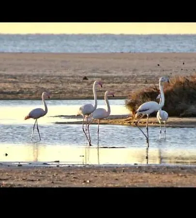 - Les Hauts D'azur Saint-Pierre-la-Mer (Aude)