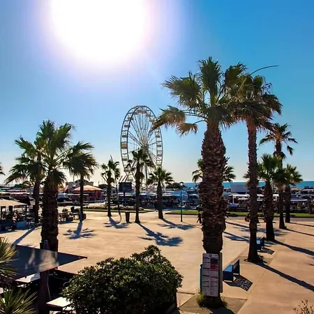 Daire - Les Hauts D'azur *