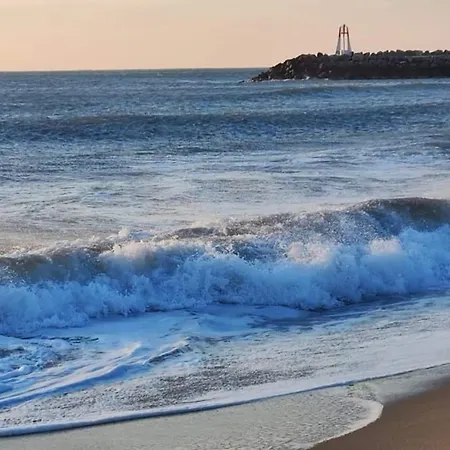 Daire - Les Hauts D'azur *