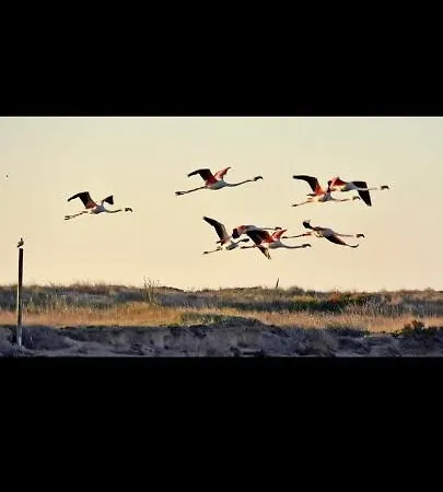 - Les Hauts D'azur Apartment Saint-Pierre-la-Mer (Aude)