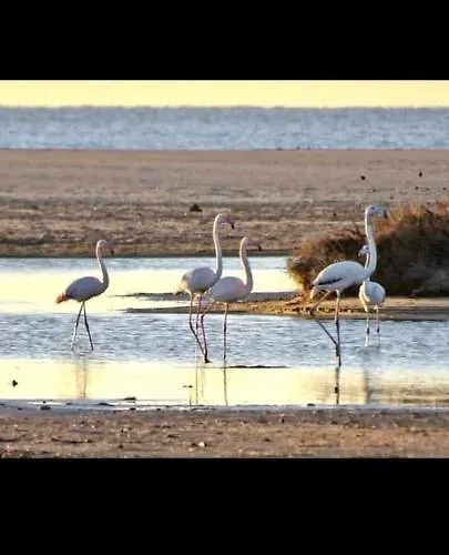 - Les Hauts D'azur Saint-Pierre-la-Mer (Aude)